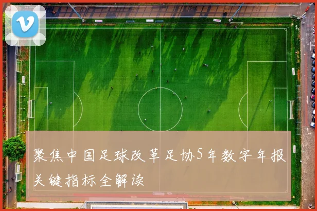 聚焦中国足球改革足协5年数字年报关键指标全解读